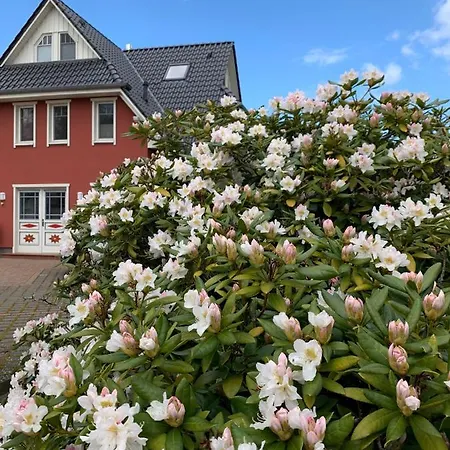 Strandgut - Kavelweg 9 - Apartmán