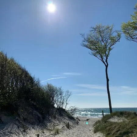 Strandgut - Kavelweg 9 -