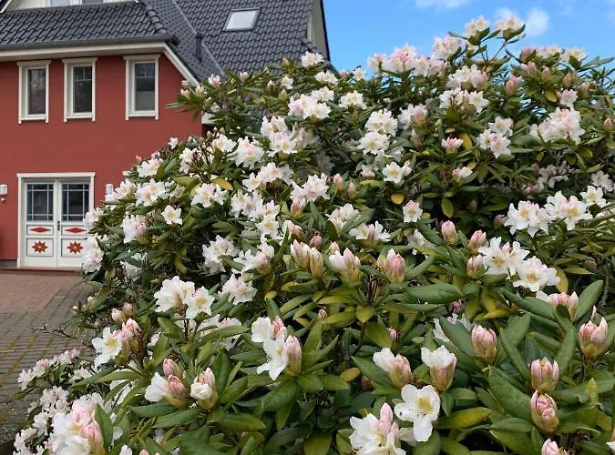 Strandgut - Kavelweg 9 - Lejlighed